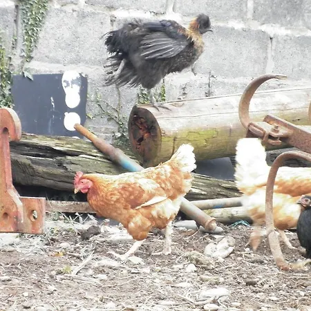 Kilmore Self - Catering 別荘