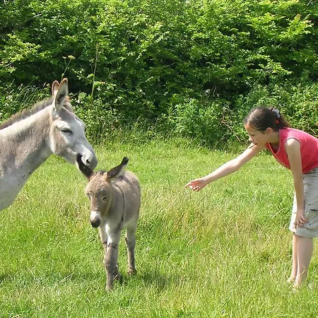 Kilmore Self - Catering キルモア・キー