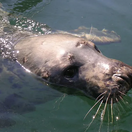 別荘 Kilmore Self - Catering キルモア・キー